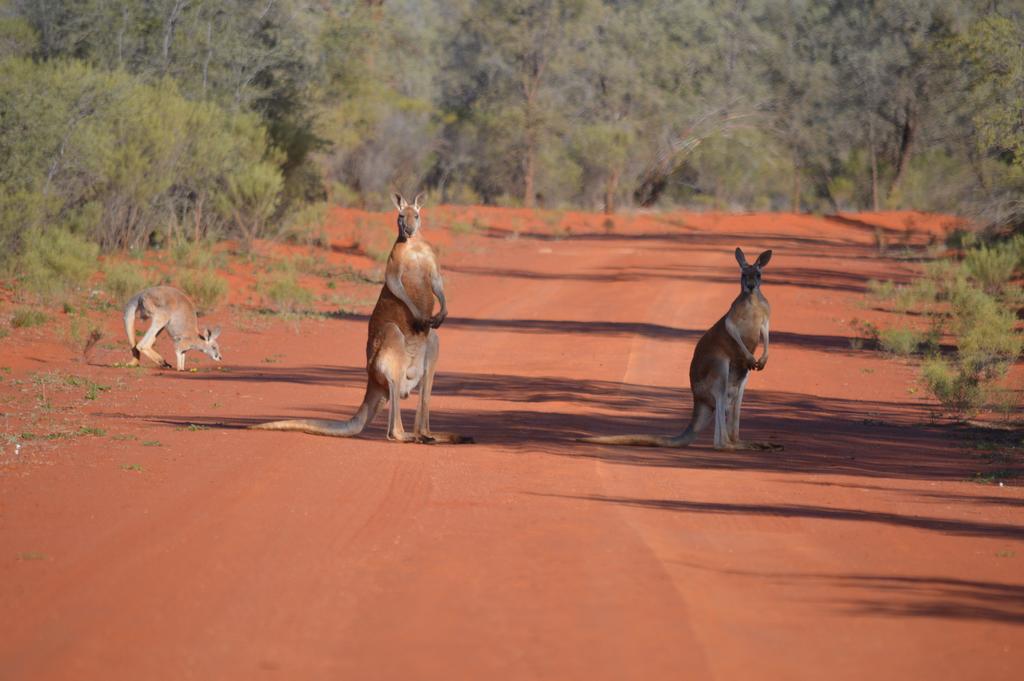 Gunderbooka NSW Darwin Holiday
