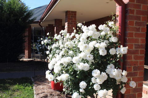 Gundaroo Manor Bed & Breakfast - Darwin Holiday 3