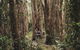 Habitat Noosa - thumb 0