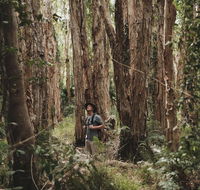 Habitat Noosa - Darwin Holiday