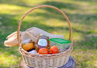 Book Wattamolla Accommodation Vacations Darwin Holiday Darwin Holiday