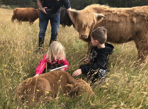 Highland Getaway - Darwin Holiday 3