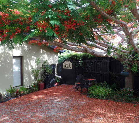 Hilltop B&B - Darwin Holiday 2