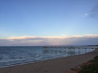 Holiday on Hillcrest