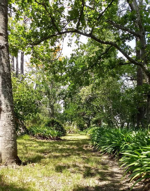 Hollyhill Cottage - Darwin Holiday 3