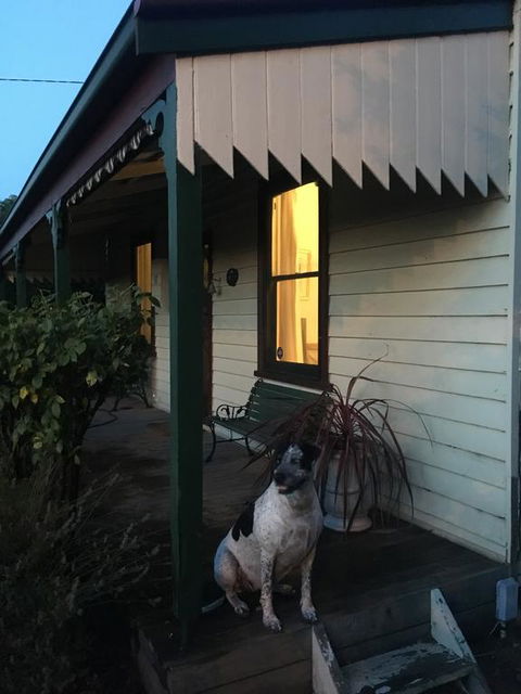 Kaikora Seaside Cottage - Darwin Holiday 1