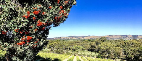 Karawatha Cottages B&B - Darwin Holiday 2