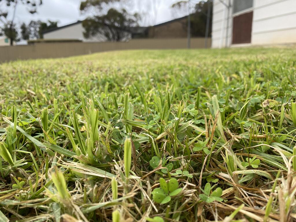 Karoonda SA Darwin Holiday