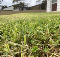 Karoonda Accommodation