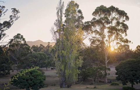 Karribank And The Karri On Bar - Darwin Holiday 0