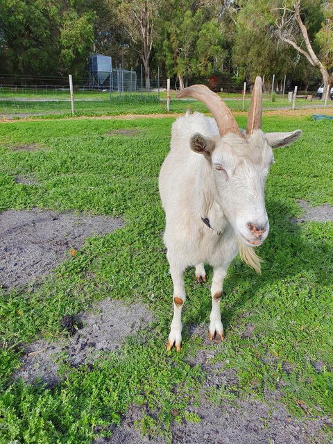 Kerriley Park FarmStay - Darwin Holiday 2