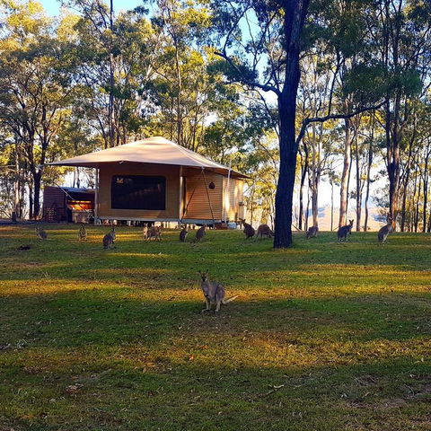 Ketchup's Bank Glamping - Darwin Holiday 3