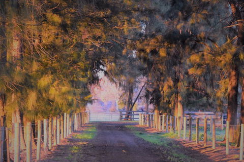 King River Cottage - Darwin Holiday 3