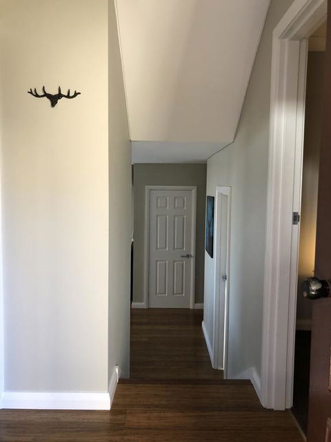 Klosters 2 - Darwin Holiday 3