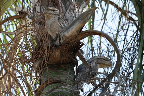 Kununurra Lakeside Resort - Darwin Holiday 2