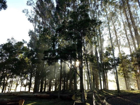 Kymmik Cottage - Darwin Holiday 2