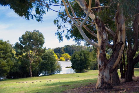 Lake Daylesford Lodge 4 - Darwin Holiday 1