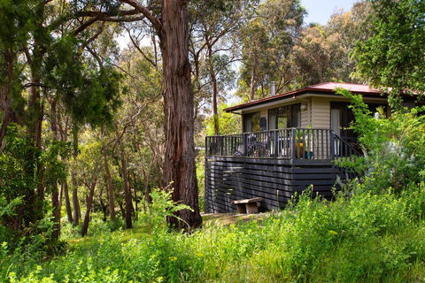 Lardi Lane - Darwin Holiday 2