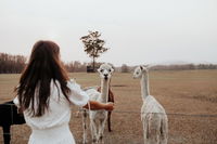 Book Darawank Accommodation Vacations Darwin Holiday Darwin Holiday