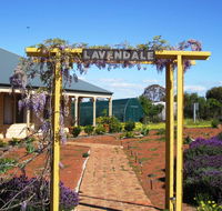 Lavendale Farmstay and Cottages York - Darwin Holiday