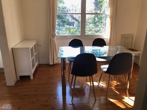 Leura Camellias - Darwin Holiday 1