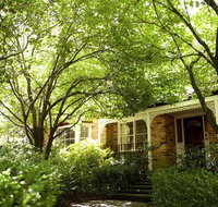 Leura Camellias - Darwin Holiday