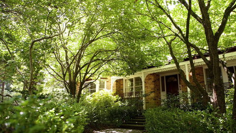 Leura Camellias - Darwin Holiday 0