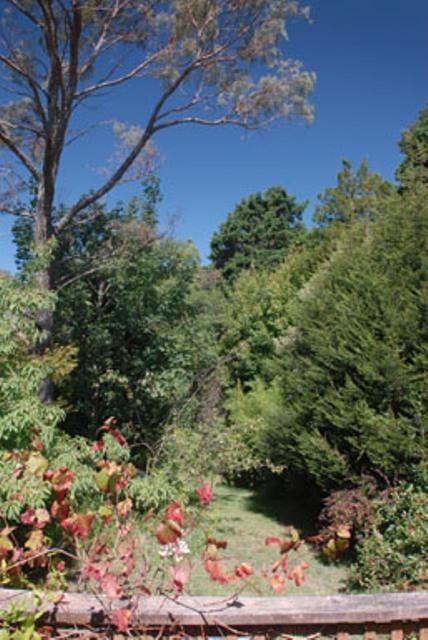 Leura Lady - Darwin Holiday 3