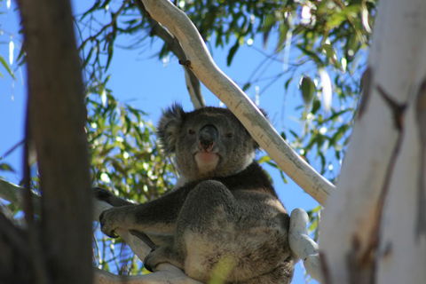 Levi Park Caravan Park - Darwin Holiday 0
