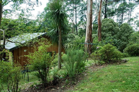 Luxury Forest Retreat - Puffing Billy - Darwin Holiday 2