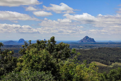 Magnolia - Darwin Holiday 1