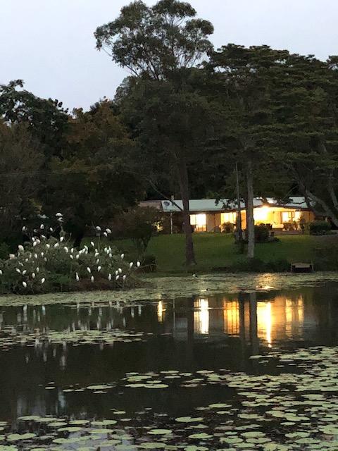 Maleny Lake Cottages-Guesthouse - Darwin Holiday 3