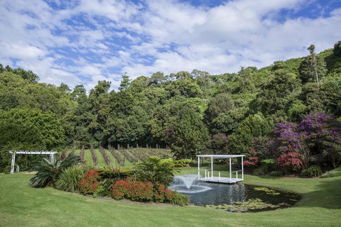 Maleny Manor - Darwin Holiday 2