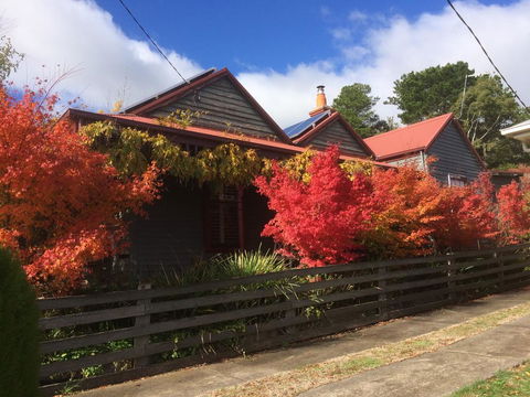 Maple Daylesford - Darwin Holiday 2