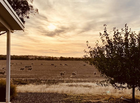 Mary's Farm Cottages - Darwin Holiday 2