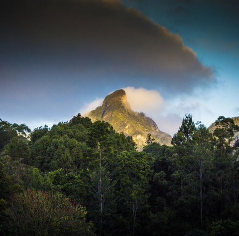 Mavis's Cabins @ Mt Warning - Darwin Holiday 1
