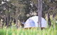Mile End Glamping Pty Ltd - thumb 2