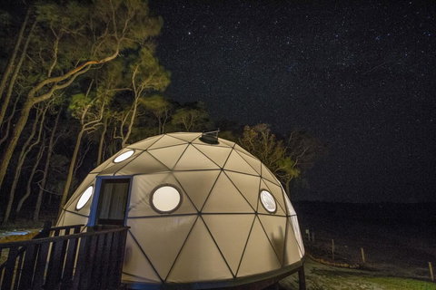 Mile End Glamping Pty Ltd - Darwin Holiday 3