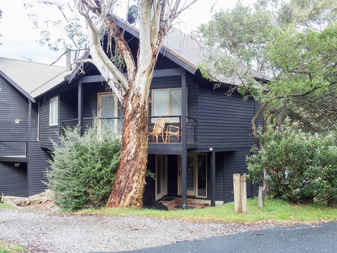 Milkwood - Darwin Holiday 0