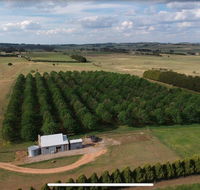Millthorpe Truffles - Gorgeous getaway for 2 - Darwin Holiday