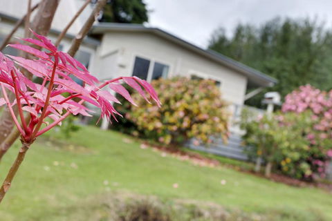 Montpellier Petite B+B - Darwin Holiday 1