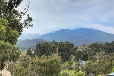 Montpellier Petite B+B - Darwin Holiday 2