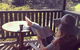 Montville Country Cabins - thumb 3
