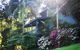 Montville Country Cabins - thumb 1