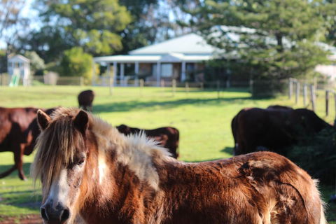 Montville House On The Hill - Darwin Holiday 2