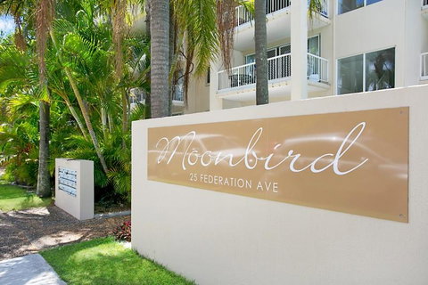 Moonbird - Darwin Holiday 3
