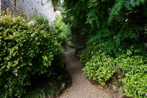 Mountain Sojourn - Darwin Holiday 1