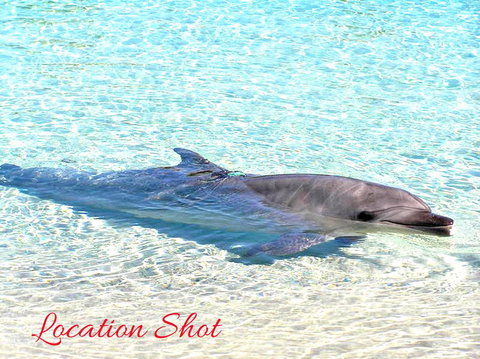 My Hideaway @ Callala Beach - Darwin Holiday 2