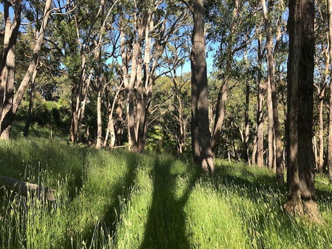 Mylor Farm, Adelaide Hills - Darwin Holiday 0