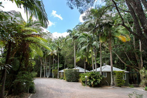 Nambour Rainforest Holiday Village - Darwin Holiday 2